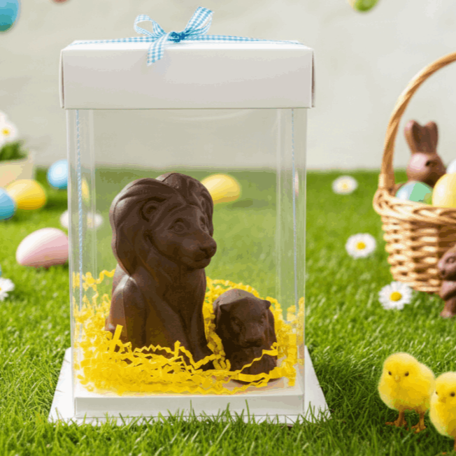 roi lion chocolat chocolatier herault 34